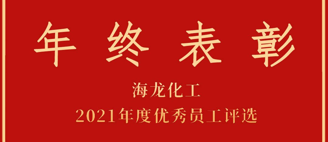 <strong>表彰！海龍化工2021年度優(yōu)秀員工優(yōu)秀部門(mén)評(píng)選</strong>