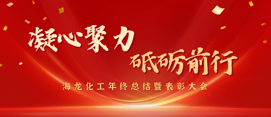 表彰 | 凝心聚力，砥礪前行，海龍化工年終總結(jié)暨表彰大會圓滿舉行